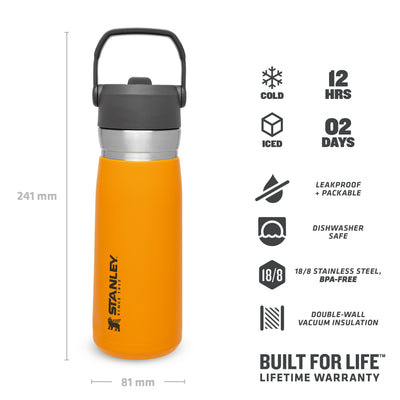 Stanley Go Flip Straw Water Bottle | 0.65L