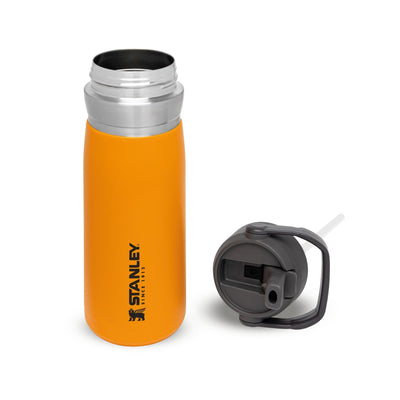 Stanley Go Flip Straw Water Bottle | 0.65L